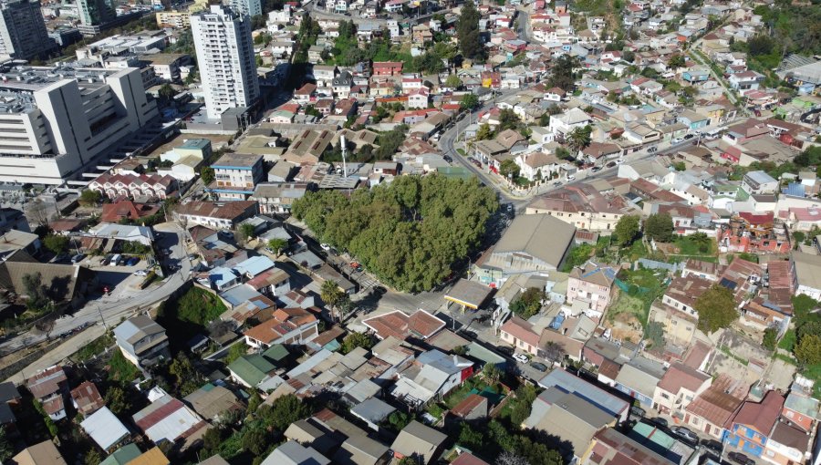 Forestal Bajo contará con nuevo y moderno sistema de iluminación LED en calles y plazas de este sector viñamarino