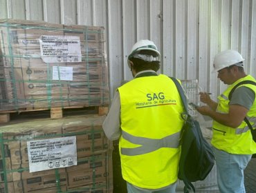 Chile y México dan salto histórico: comercio pecuario operará con certificación 100% electrónica