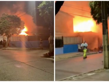 Perro muerde a cuatro bomberos en medio de incendio que destruyó una vivienda y dejó a otra con daños parciales en Quillota
