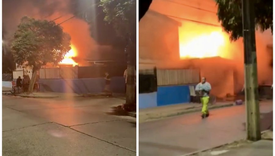 Perro muerde a cuatro bomberos en medio de incendio que destruyó una vivienda y dejó a otra con daños parciales en Quillota