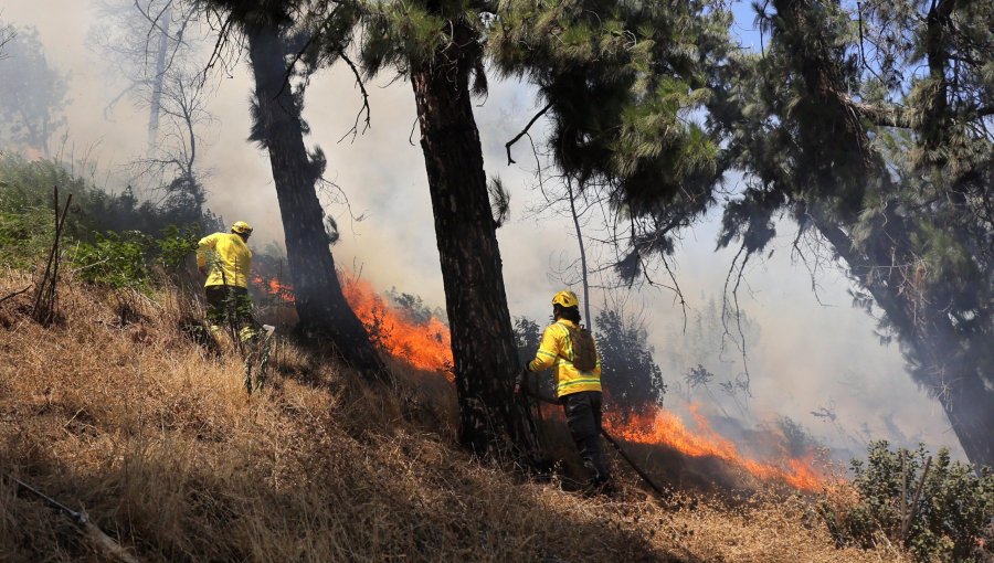 Proyecto de ley que regula la prevención y mitigación de incendios forestales pasó a comisión mixta por rechazo a "expropiaciones"