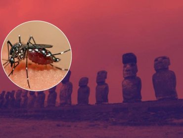 Colegio Médico de Valparaíso explica brote de dengue en Rapa Nui y advierte que la clave está en frenar la proliferación del mosquito