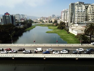 Contundente respaldo de gremios productivos de Viña a proyecto en estero Marga Marga: destacan su impacto turístico y económico