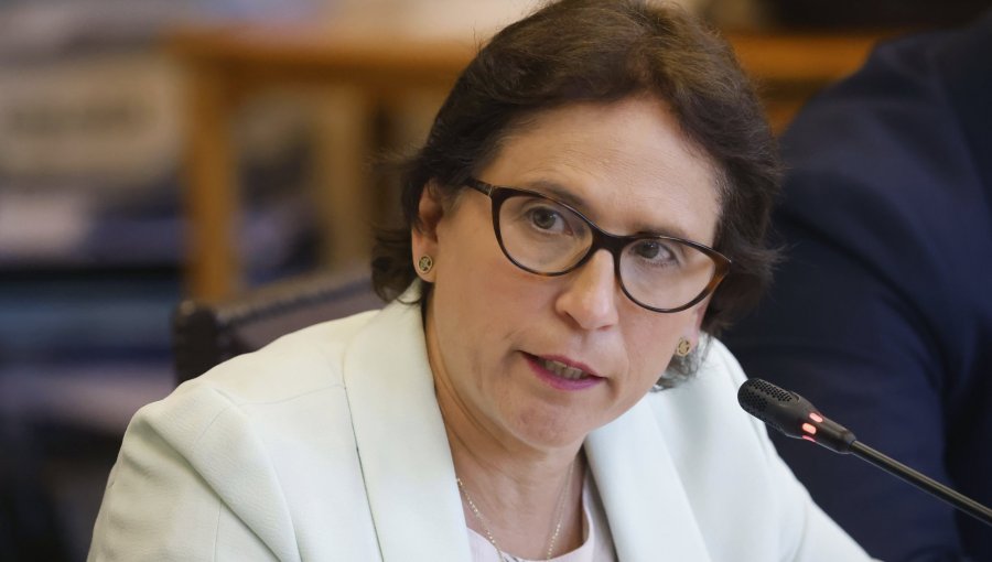 Alcalde de Peñalolén apunta a subsecretaria Leitao: "Que paguen los responsables, no los vecinos"