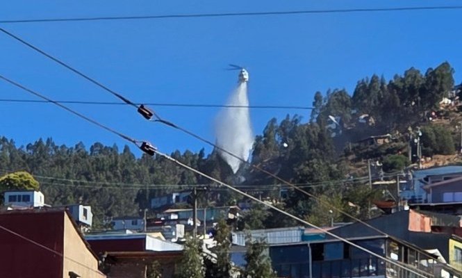 Cancelan la Alerta Roja para Valparaíso por incendio forestal en el cerro Jiménez: fuego consumió alrededor de 0,2 hectáreas