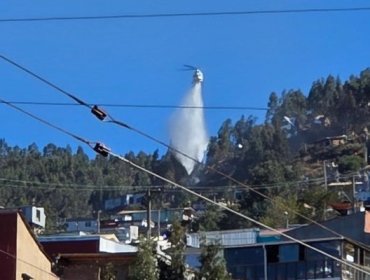 Cancelan la Alerta Roja para Valparaíso por incendio forestal en el cerro Jiménez: fuego consumió alrededor de 0,2 hectáreas