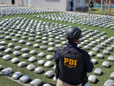 Fiscalía y PDI asestan nuevo golpe al narcotráfico con incautación de más de dos toneladas de cannabis en Antofagasta