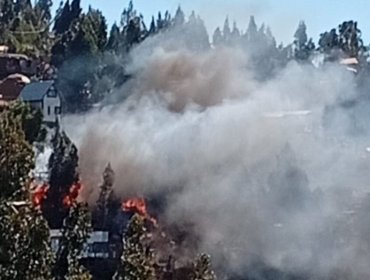 Senapred activa la mensajería SAE y solicita evacuar el sector "Miguel Ángel Alto" en Valparaíso por incendio forestal