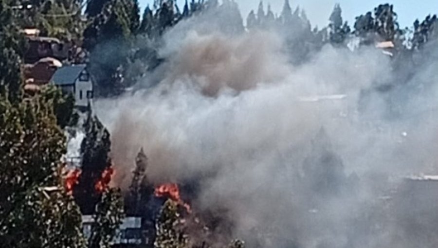 Senapred activa la mensajería SAE y solicita evacuar el sector "Miguel Ángel Alto" en Valparaíso por incendio forestal