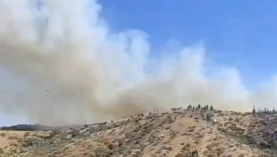 Declaran Alerta Roja para San Antonio por incendio forestal en sector de Cuncumén: 5 hectáreas han sido consumidas