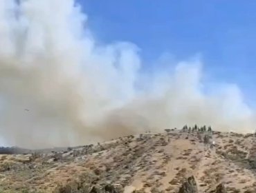 Declaran Alerta Roja para San Antonio por incendio forestal en sector de Cuncumén: 5 hectáreas han sido consumidas