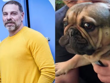 José Antonio Neme rompe el silencio tras la muerte de Frodo y presenta a su nueva perrita: “Mucho amor canino”