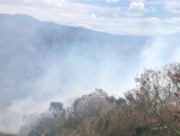 Senapred activa la mensajería SAE y solicita evacuar el sector Villa La Alborada en San Antonio por incendio forestal