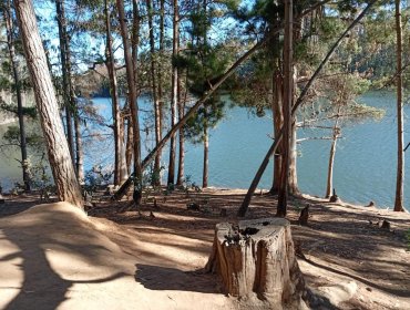20 toneladas de basura fueron retiradas desde el tranque La Luz de Valparaíso durante 2025