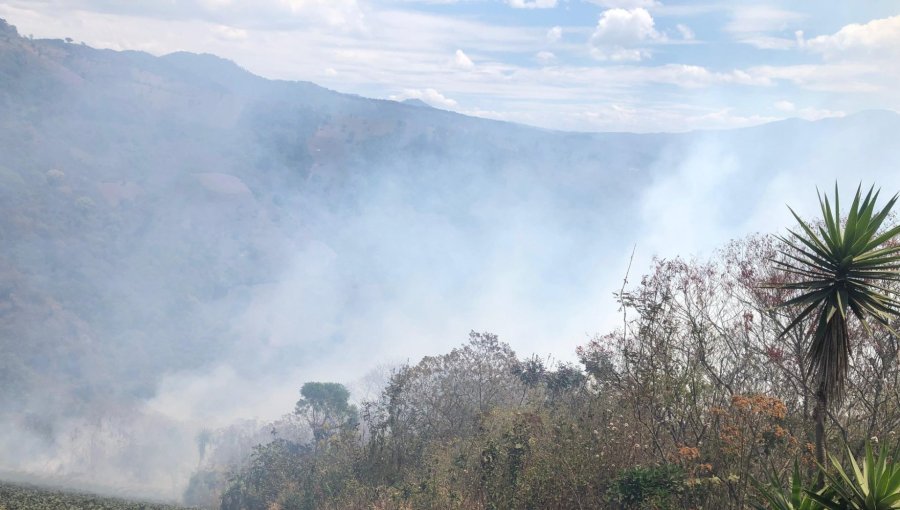 Senapred activa la mensajería SAE y solicita evacuar el sector Villa La Alborada en San Antonio por incendio forestal