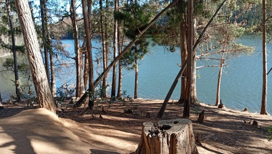 20 toneladas de basura fueron retiradas desde el tranque La Luz de Valparaíso durante 2025
