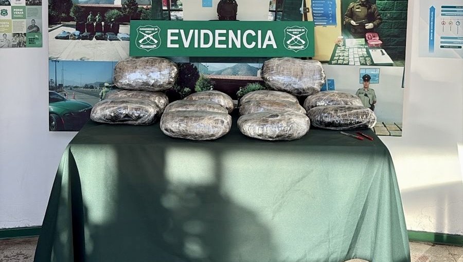 Detienen a mujer con 12,7 kilos de marihuana en bus fiscalizado en ruta 5 de Nogales