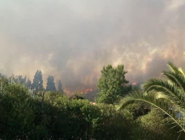 65 hectáreas ha consumido el incendio forestal que se desarrolla cercano a sectores poblados en San Antonio