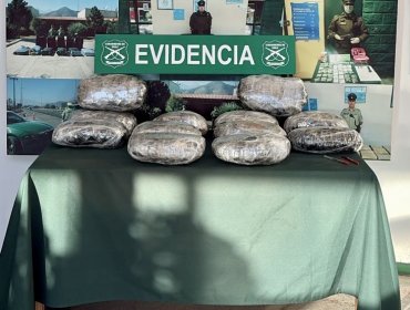 Detienen a mujer con 12,7 kilos de marihuana en bus fiscalizado en ruta 5 de Nogales