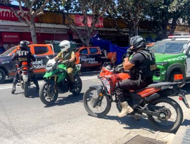 440 personas fueron detenidas en 30 mil patrullajes realizados durante el verano en Viña: decomisos superaron las 36 mil especies