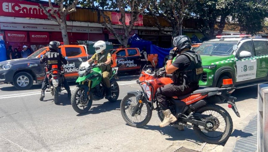 440 personas fueron detenidas en 30 mil patrullajes realizados durante el verano en Viña: decomisos superaron las 36 mil especies