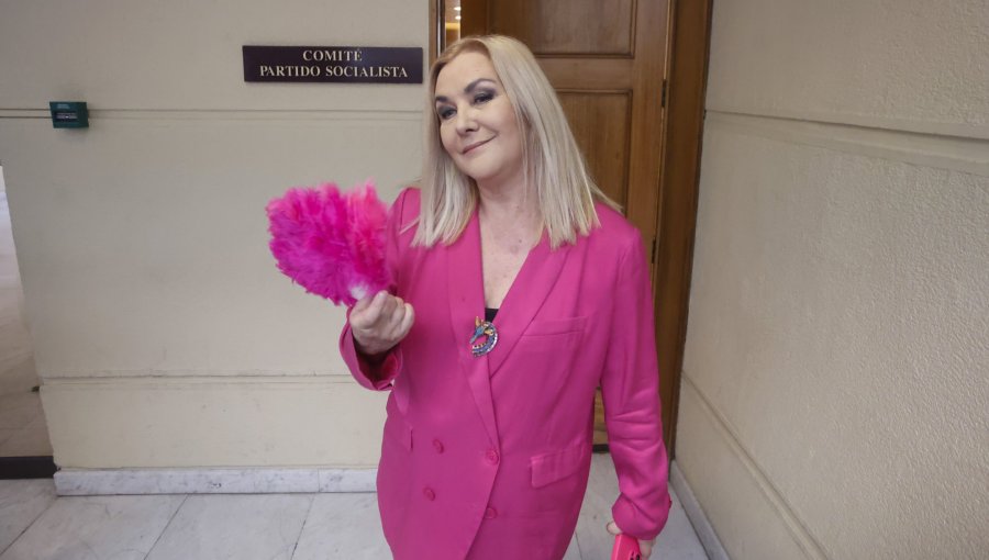 Pamela Jiles tras perder la testera de la Cámara: "Me siento liberada para poder hacer lo que la abuela hace normalmente"