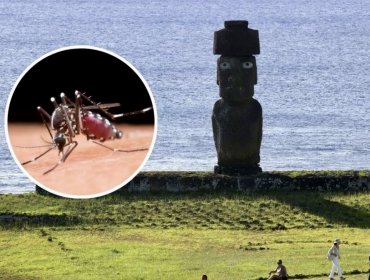 A 14 aumenta la cifra de casos autóctonos e importados de dengue en Rapa Nui