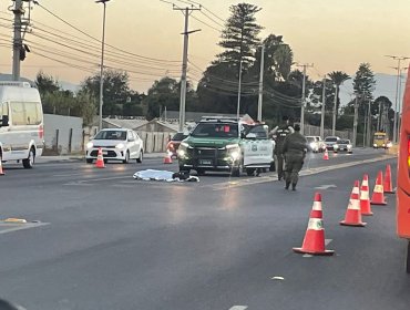 Fatal accidente en Quillota: peatón muere tras ser atropellado en el troncal de San Pedro