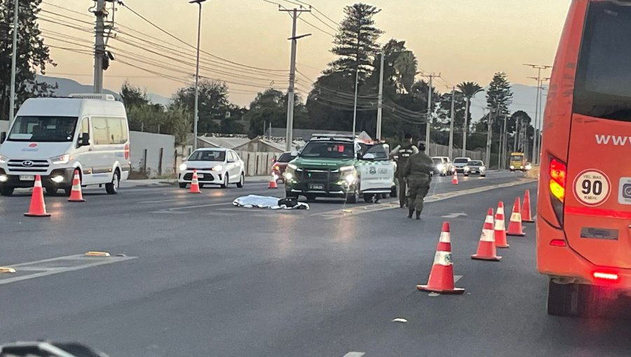 Fatal accidente en Quillota: peatón muere tras ser atropellado en el troncal de San Pedro