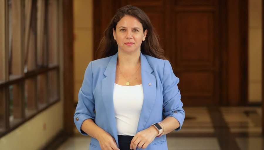 Mora responde a Manouchehri por criticar entrega de almuerzos de la primera dama: "¿Cuántos oficios envió cuando murió gásfiter en La Moneda?