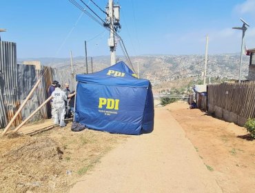 En tiempo récord atrapan a presunto homicida de sector Miraflores Alto en Viña del Mar