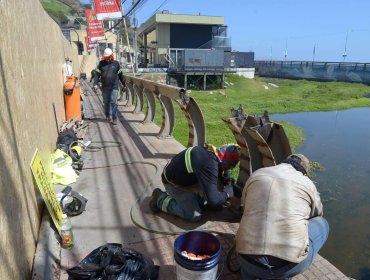 Municipio de Viña del Mar inicia esperada obra de reparación del puente Reñaca