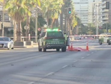 Hombre muere tras ser atropellado de madrugada en plena Avenida San Martín en Viña del Mar