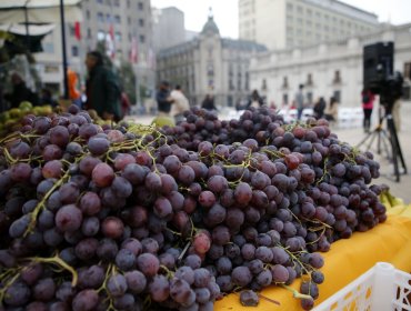 Perú desplaza a Chile y se convierte en el principal proveedor de uvas de EE.UU.