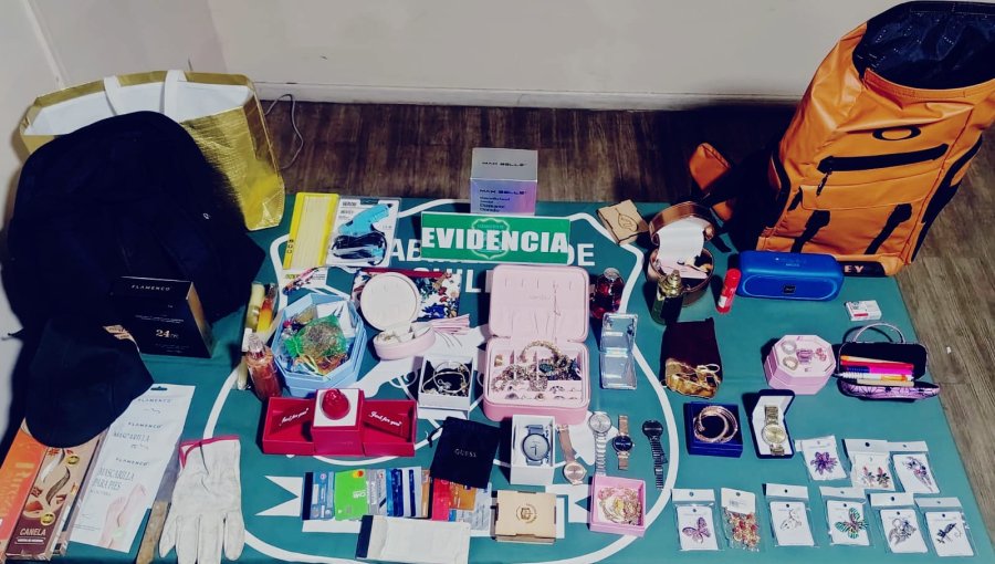 Capturan a hombre y mujer que mantenían especies robadas desde una casa en Concón