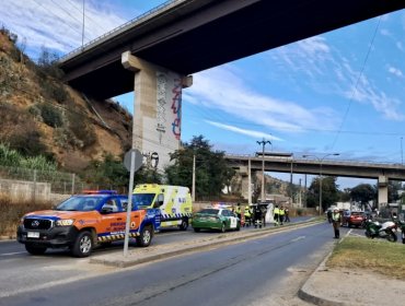 Hombre pierde la vida tras caer al vacío desde un puente en Viña del Mar