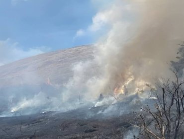 30 hectáreas consumió incendio forestal en Rapa Nui: Alerta Roja fue bajada a Amarilla