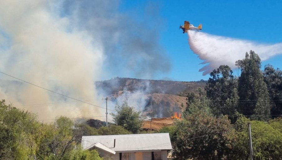 Incendio de biomasa en Los Molles obliga a declarar emergencia comunal en Quilpué: Municipio anuncia recurso de protección