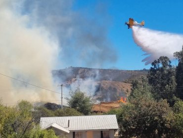 Incendio de biomasa en Los Molles obliga a declarar emergencia comunal en Quilpué: Municipio anuncia recurso de protección