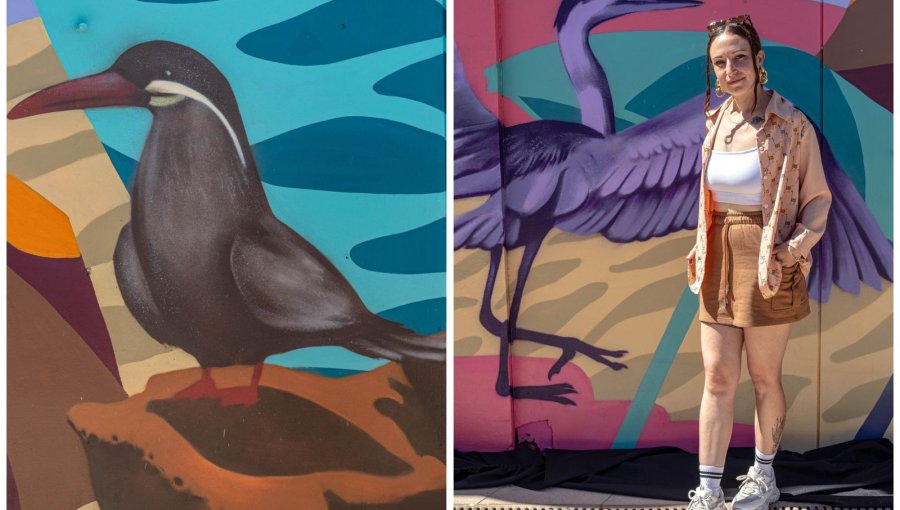 Mural en Playa Amarilla pone en valor la identidad medioambiental de Concón