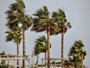 Dirección Meteorológica emite aviso por viento de hasta 80 km/h en la región de Valparaíso