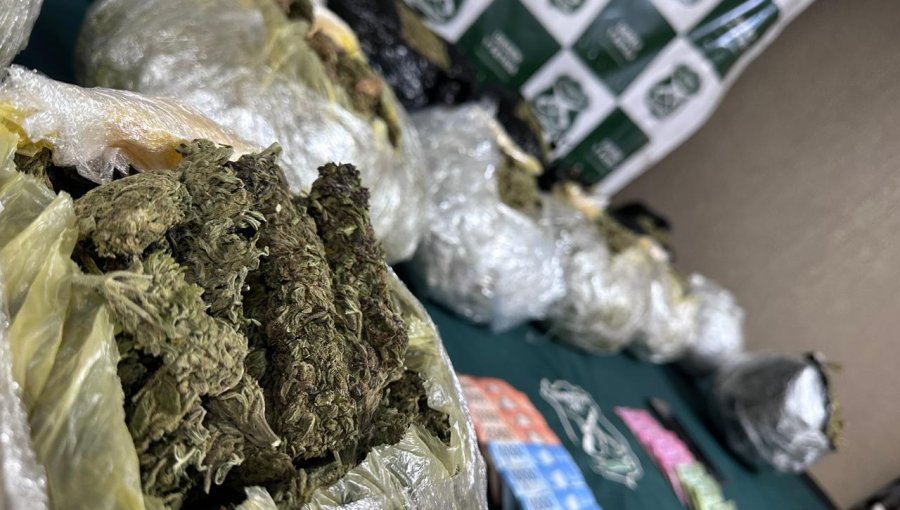 Decomisan 14 kilos de marihuana en control policial en ruta 5 Norte de Nogales