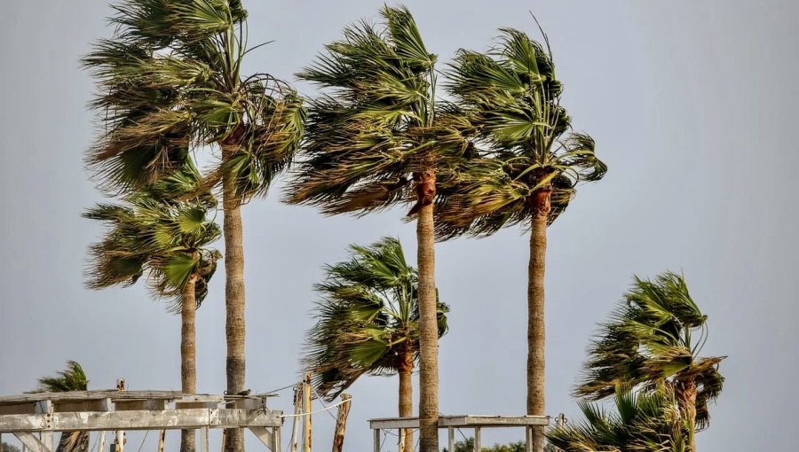 Dirección Meteorológica emite aviso por viento de hasta 80 km/h en la región de Valparaíso