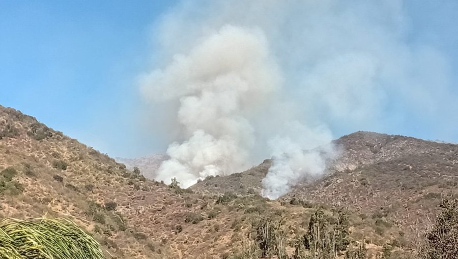 Bomberos y personal de Conaf combaten incendio forestal en el sector de Quebrada Alvarado en Olmué
