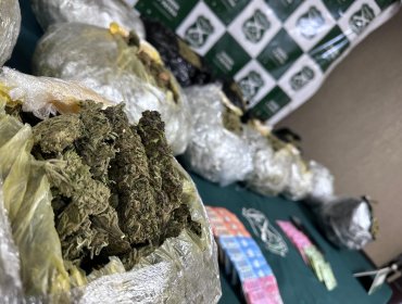 Decomisan 14 kilos de marihuana en control policial en ruta 5 Norte de Nogales