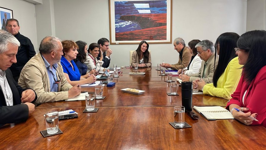 Profesores advierten: “No puede haber recortes en educación” tras primera reunión con el Mineduc