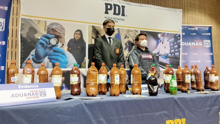 PDI Los Andes incauta 58 kilos de sustancia vinculada al ayahuasca: droga sería usada en ritual masivo en Santiago