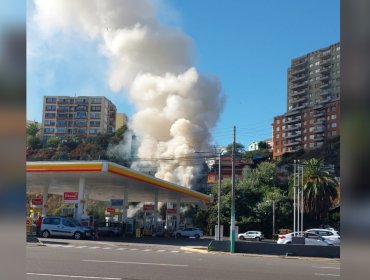 Bomberos combate incendio forestal frente a bencinera de la Av. España de Valparaíso