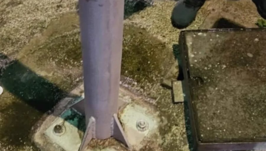 Perrito recibe descarga eléctrica de poste de alumbrado público en Las Salinas: Municipio de Viña apunta a empresa externa