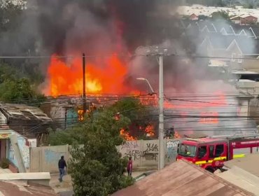 Violento incendio en plena Avenida 21 de Mayo en Quillota movilizó a Bomberos